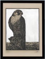 Faucon Peverin（ハヤブサ）リノリウム版画
