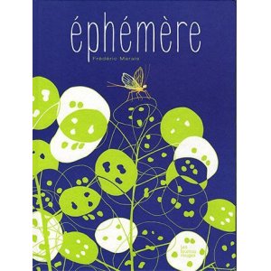 画像: éphémère（生きよう！－かげろうのように）フランス語　翻訳付