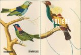 画像: Volière - Oiseaux de paradis（巨大な鳥かご－楽園の鳥たち）翻訳付