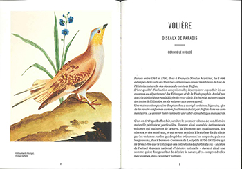 画像: Volière - Oiseaux de paradis（巨大な鳥かご－楽園の鳥たち）翻訳付
